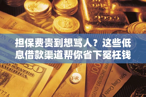 济南担保费贵到想骂人？这些低息借款渠道帮你省下冤枉钱